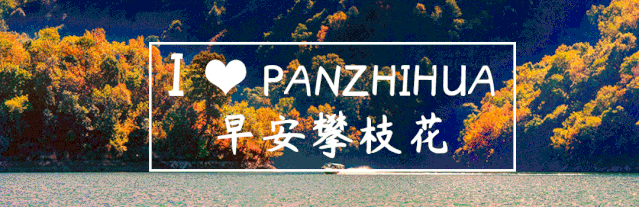 9d293702c113a37e5abfea5f9f8f57bd.gif